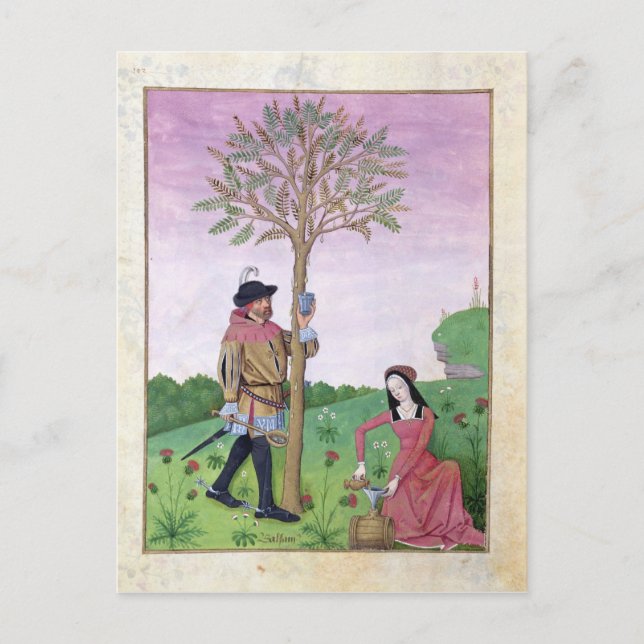 Cartão Postal Desenho de seiva de uma árvore (Frente)