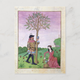 Cartão Postal Desenho de seiva de uma árvore