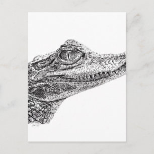 Cartão Postal Desenho de Tinta Crocodilo Bebê
