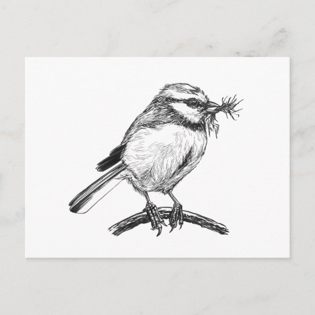Cartão Postal Desenho de tinta de pássaro azul (Frente)
