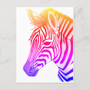 Cartão Postal Desenho de zebra preto e colorido