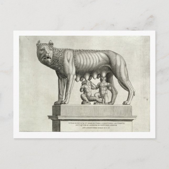 Cartão Postal Desenho do bronze Etruscano do lobo-guará (Frente)