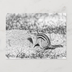 Cartão Postal Desenho do Chipmunk