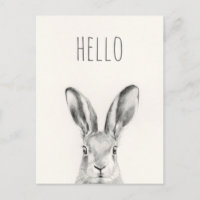 Desenho do lápis de coelho - Olá