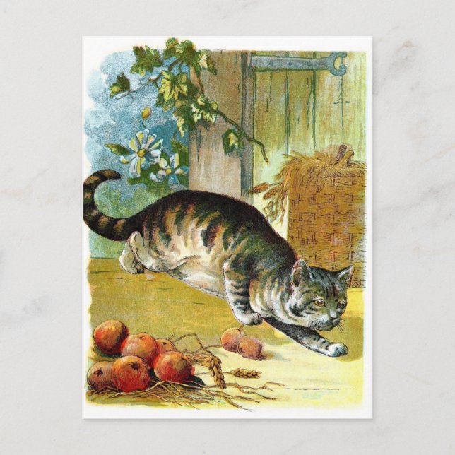 Cartão Postal Desenho do vintage: O gato manhoso (Frente)