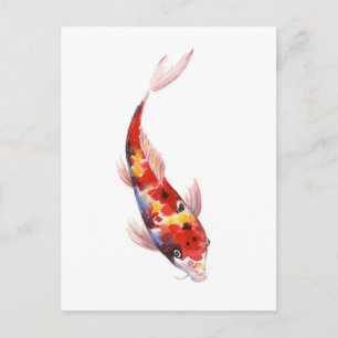 Cartão Postal Desenho em aquarela de Koi Carp