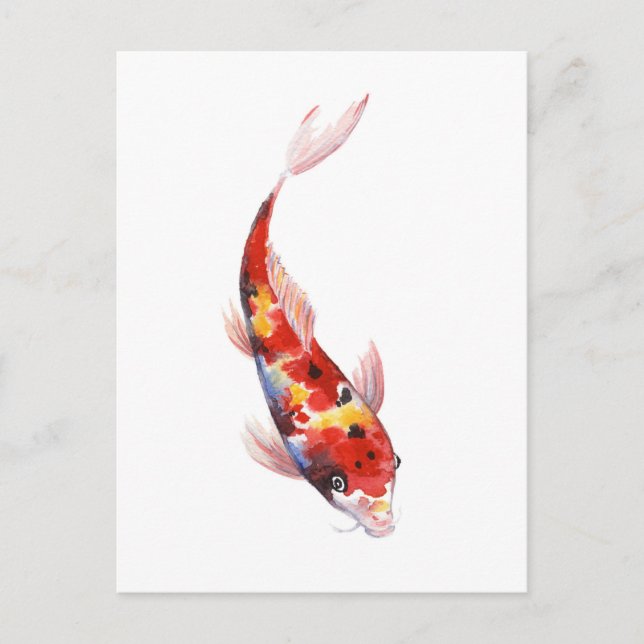 Cartão Postal Desenho em aquarela de Koi Carp (Frente)
