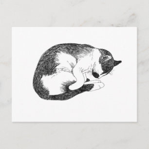 Cartão Postal Desenho em preto e branco do gato tuxedo dormindo