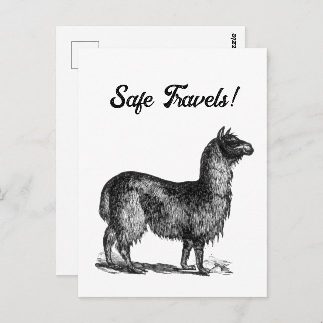 Cartão Postal Desenho Encantador de Llama, Desenho a Tinta de An (Frente/Verso)