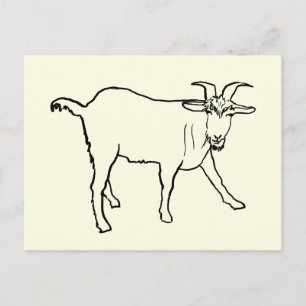Cartão Postal Desenho Engraçado de Cabra Arte de Animal de Fazen