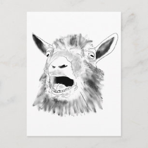 Cartão Postal Desenho engraçado de cabra gritando arte animal ex