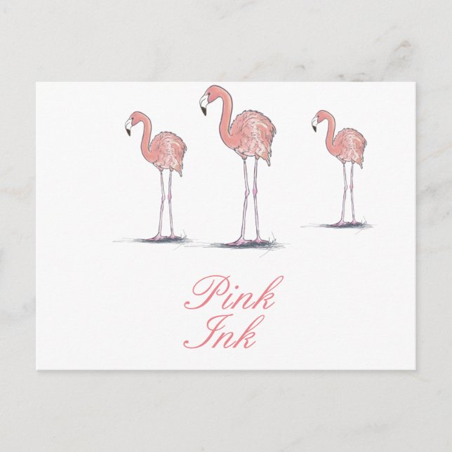 Cartão Postal Desenho Grátis Rosa Flamingos (Frente)