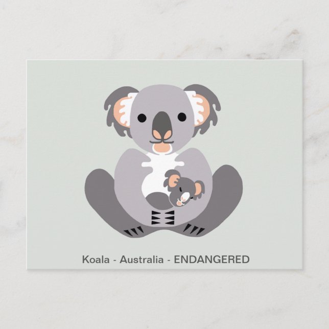 Cartão Postal Desenho manual - KOALA - Marsupial - Animais ameaç (Frente)