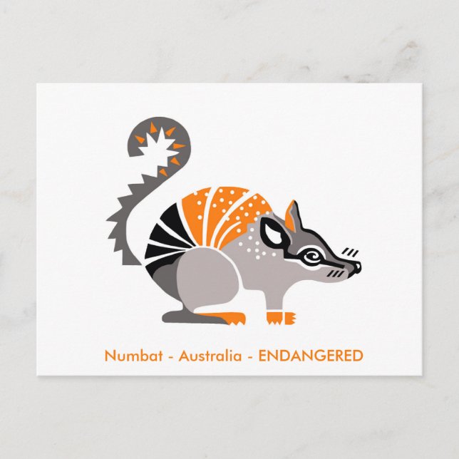 Cartão Postal Desenho manual - NUMBAT - Marsupial - Austrália (Frente)