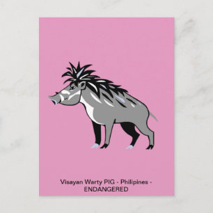 Cartão Postal Desenho manual - Warthog - Warthog - vida selvagem