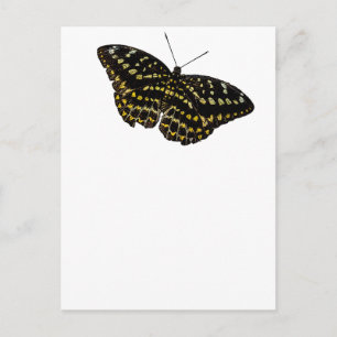 Cartão Postal Desenho natural da borboleta amarela e preta