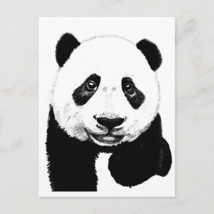 Cartão Postal Desenho Panda