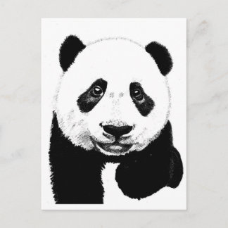 Cartão Postal Desenho Panda