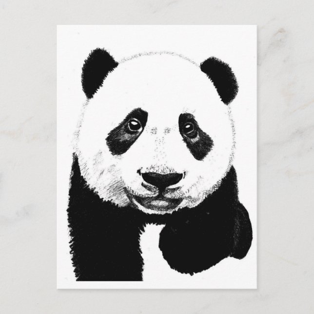 Cartão Postal Desenho Panda (Frente)