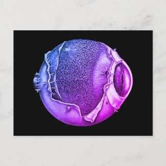 Cartão Postal Desenho Roxo de Detalhe do Olho de Vintage Moderno