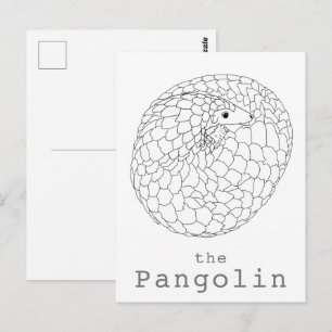 Cartão Postal Desenho simples de pangolim enrolado