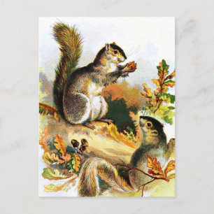 Cartão Postal Desenho Vintage: Esquilos no Outono