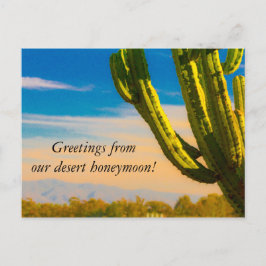 Cartão Postal Desert Cactus Saguaro Honeymoon Obrigado