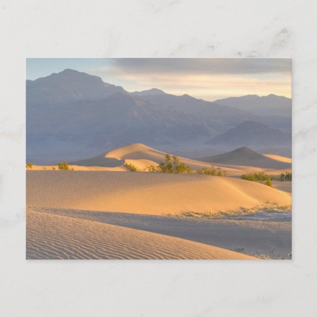 Cartão Postal Desert Dawn (Frente)