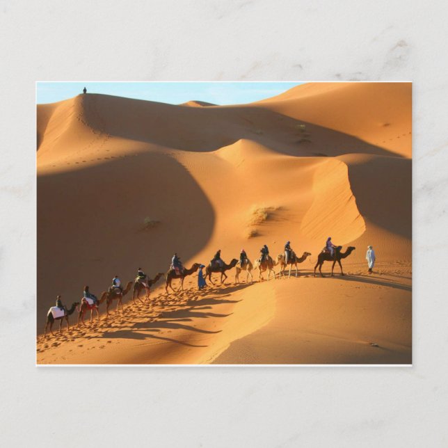 Cartão Postal desert-morocco-sahara (Frente)