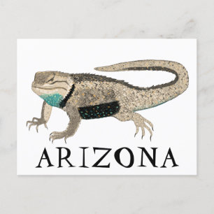 Cartão Postal Desert Spiny Lizard ARIZONA Natureza Selvagem Anim