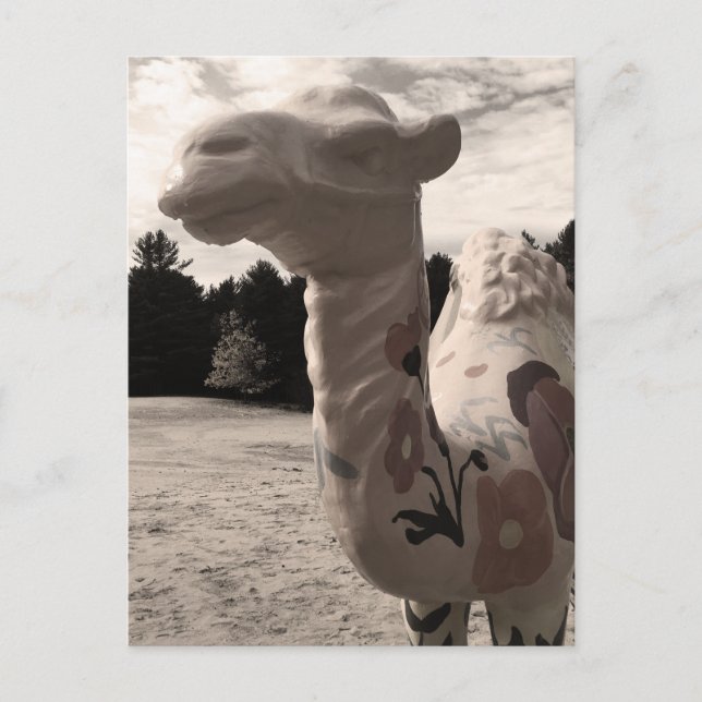 Cartão Postal deserto de minas (Frente)