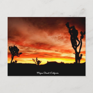 Cartão Postal Deserto de Mojave, Califórnia