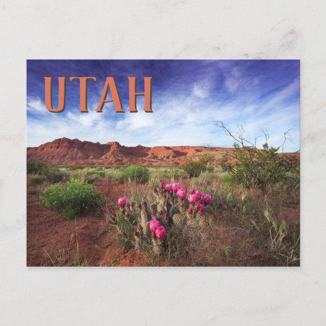 Cartão Postal Deserto de Utah Primavera Cactus (Frente)