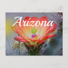 Cartão Postal Deserto em Bloom, Cartão-postal de Arizona