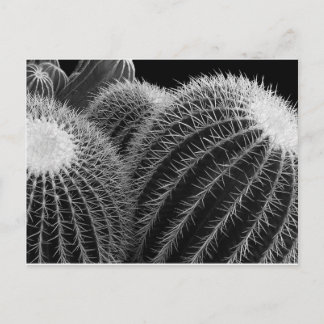 Cartão Postal Deserto Escuro.