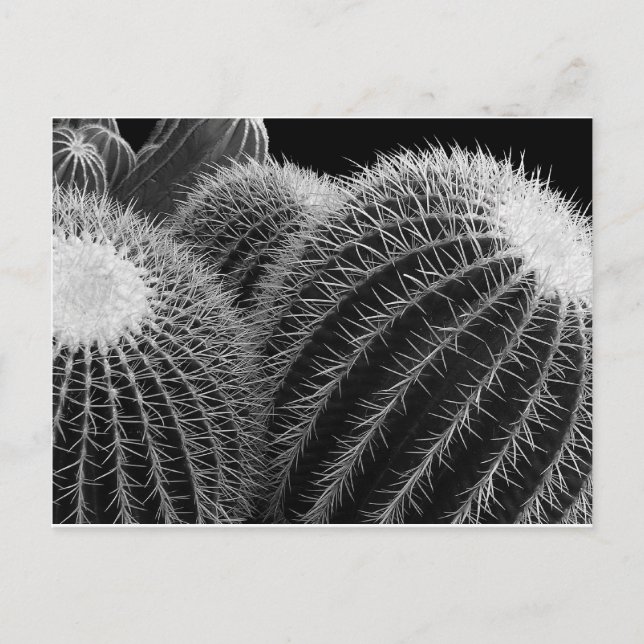 Cartão Postal Deserto Escuro. (Frente)