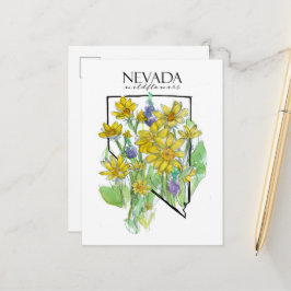 Cartão Postal Deserto Flores Selvagens Nevada Lupines Balsamroot