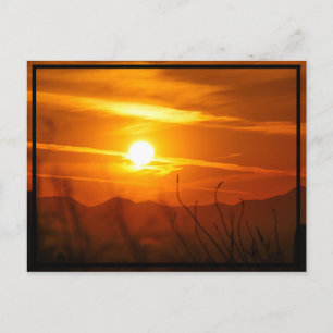 Cartão Postal Deserto Sun