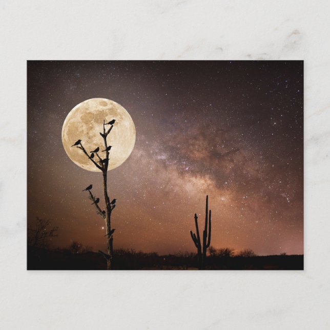 Cartão Postal Desertos | Cacto Saguaro Com Pássaros no Deserto (Frente)