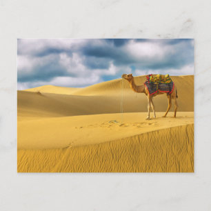 Cartão Postal Desertos   Deserto Thar Rajasthan Índia Camelo