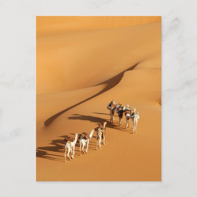 Cartão Postal Deserts | Tuareg Walk with Camels (Frente)