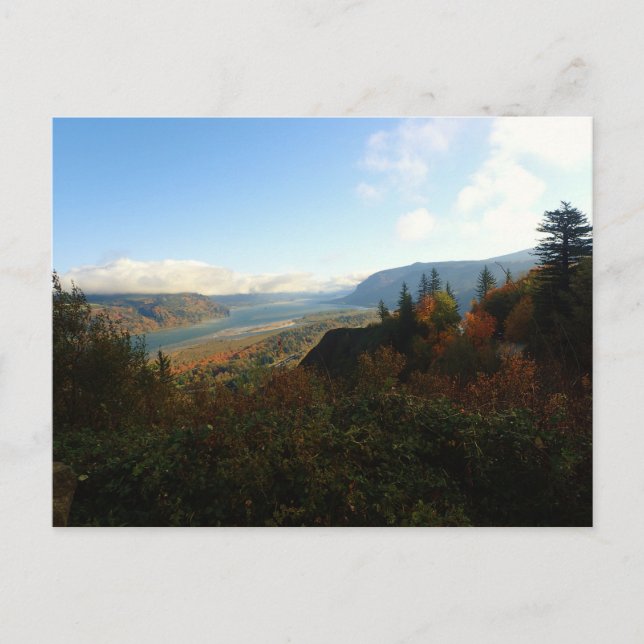 Cartão Postal Desfiladeiro do rio Columbia no outono (Frente)