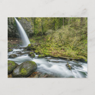 Cartão Postal Desfiladeiro do Rio Columbia, Ponytail Falls