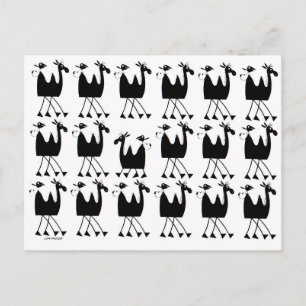 Cartão Postal Desfile de Camelos