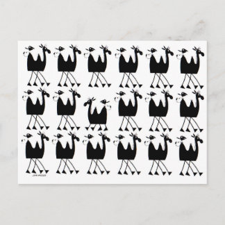 Cartão Postal Desfile de Camelos