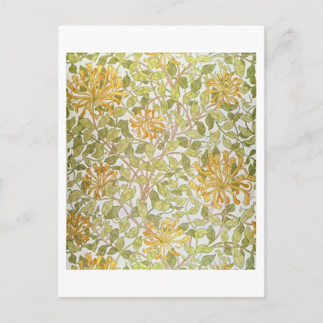 Cartão Postal design, 1883 (Frente)