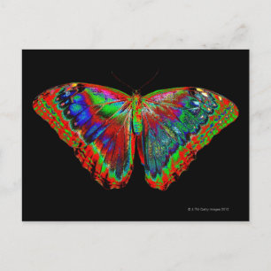 Cartão Postal Design de borboleta colorida contra pano de fundo
