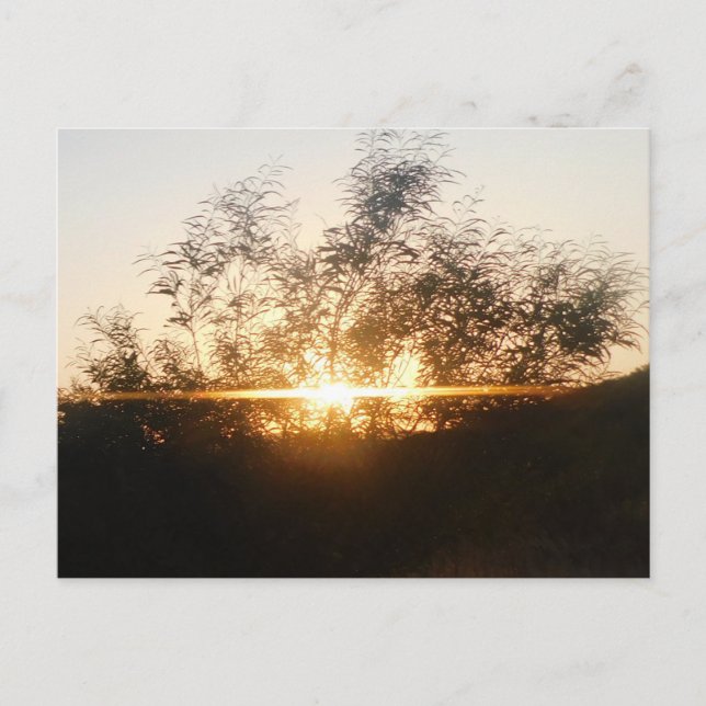 Cartão Postal design de cena de definição de placa de posto (Frente)