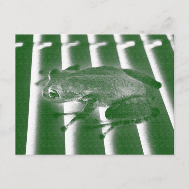 Cartão Postal design de esboço verde-esquerdo com sapo de árvore (Frente)