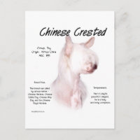 Design de História Chinês Detido (sem pelo)